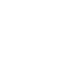 Chrome Style Rockstar Games Social Club