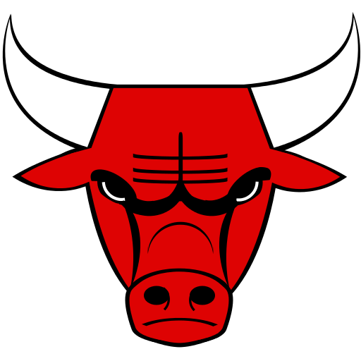 Chicago Basket BULLS - Rockstar Games