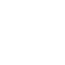 true religion emblem