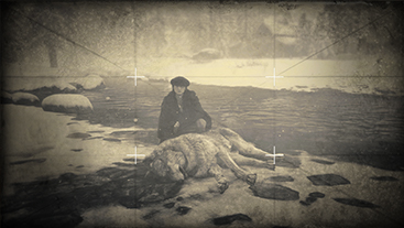 Wildlife Photographer