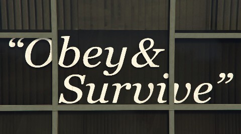 (2020) Obey And Survive job image