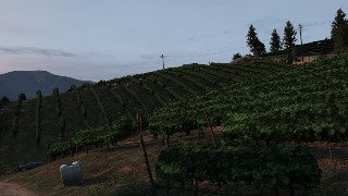 Vineyard Bloodbath job image