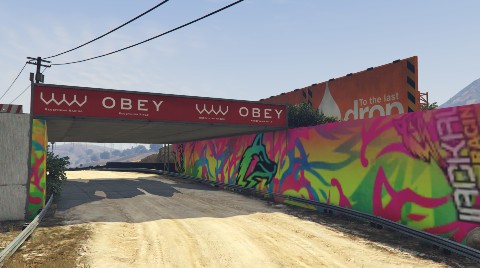 ' renaturation rally ps5 job image
