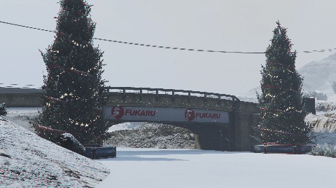 Frozen River Rally job image