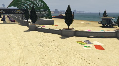 B80 Beachhopper job image